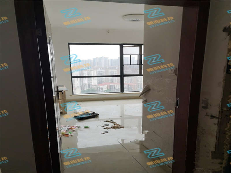 疊彩蘭亭（疊彩峰苑）法拍房A-1、A-2棟2912房